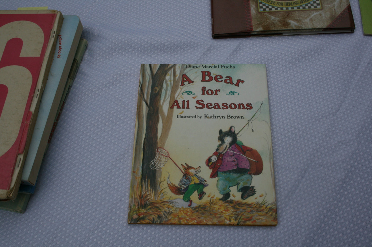 A bear fpr all seasons.