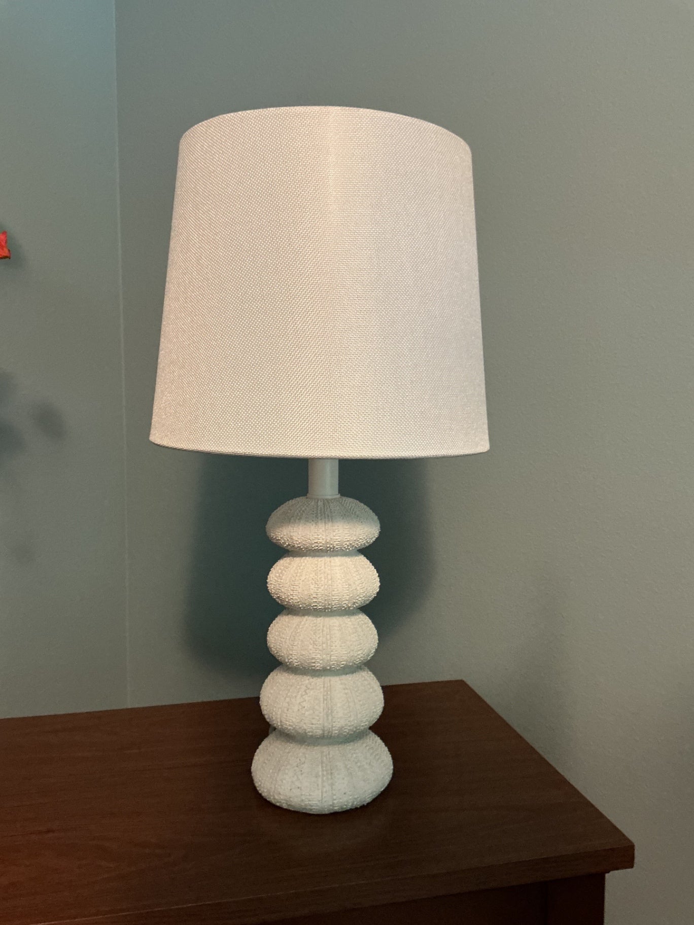 Sea urchin lamp