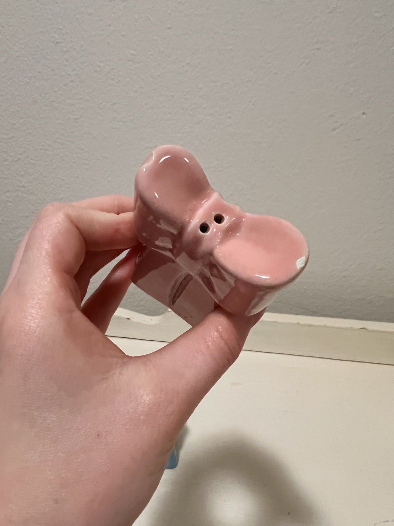 Pink and Blue Bow Salt and Pepper Shaker Set