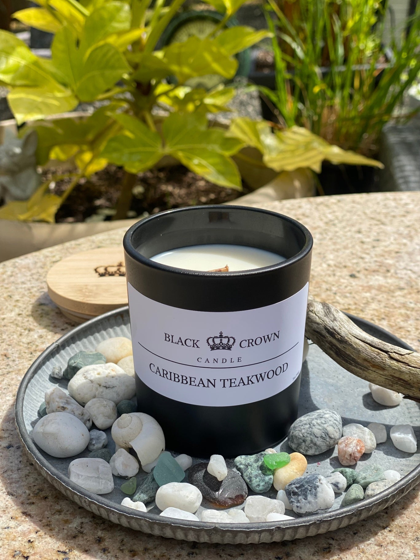 Caribbean Teakwood Soy Candle