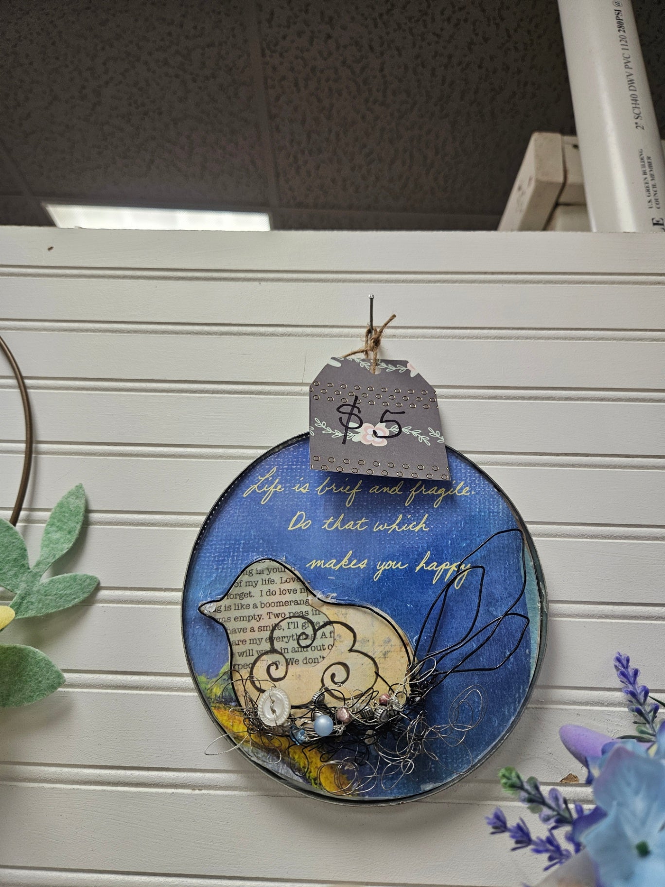 Round Bird Picture