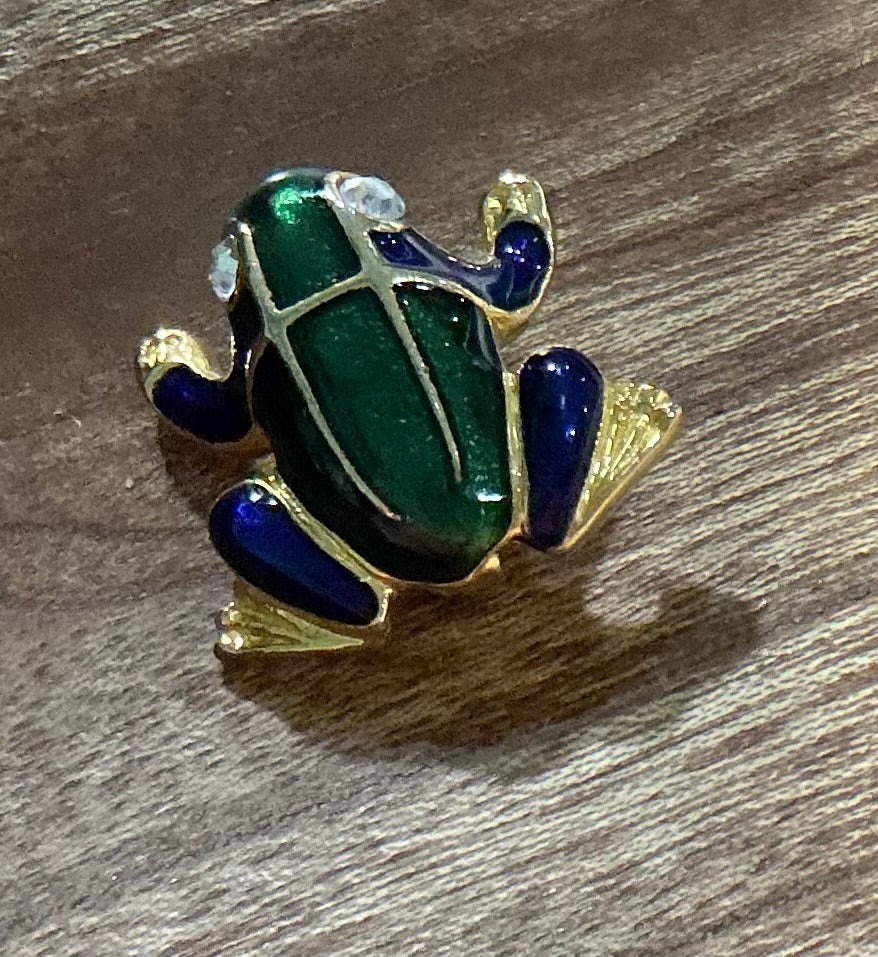 VTG. Frog Pin