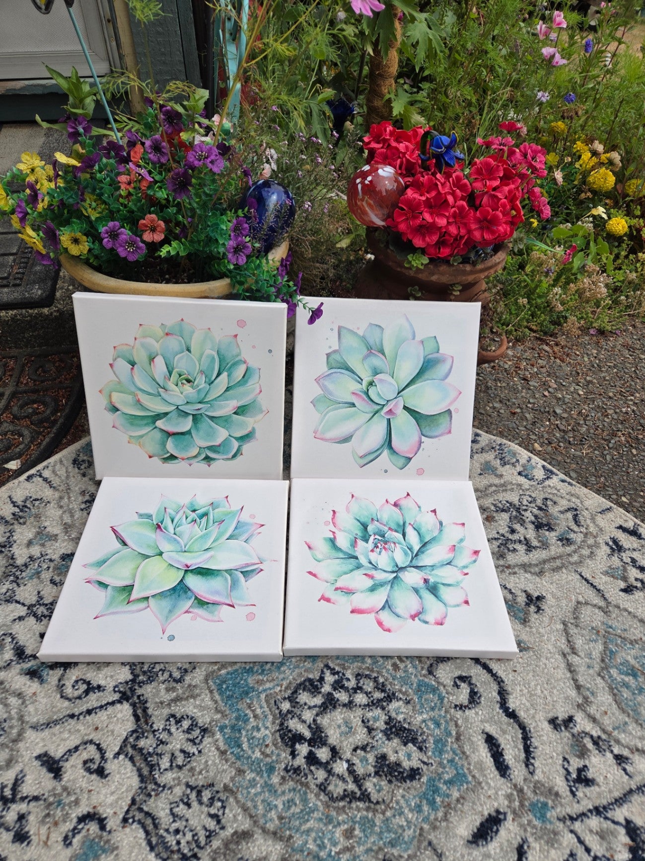 4 canvas prints succulents