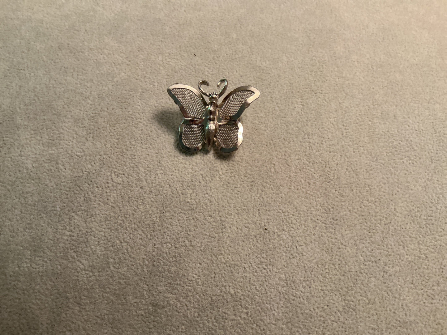 Silver color butterfly brooch