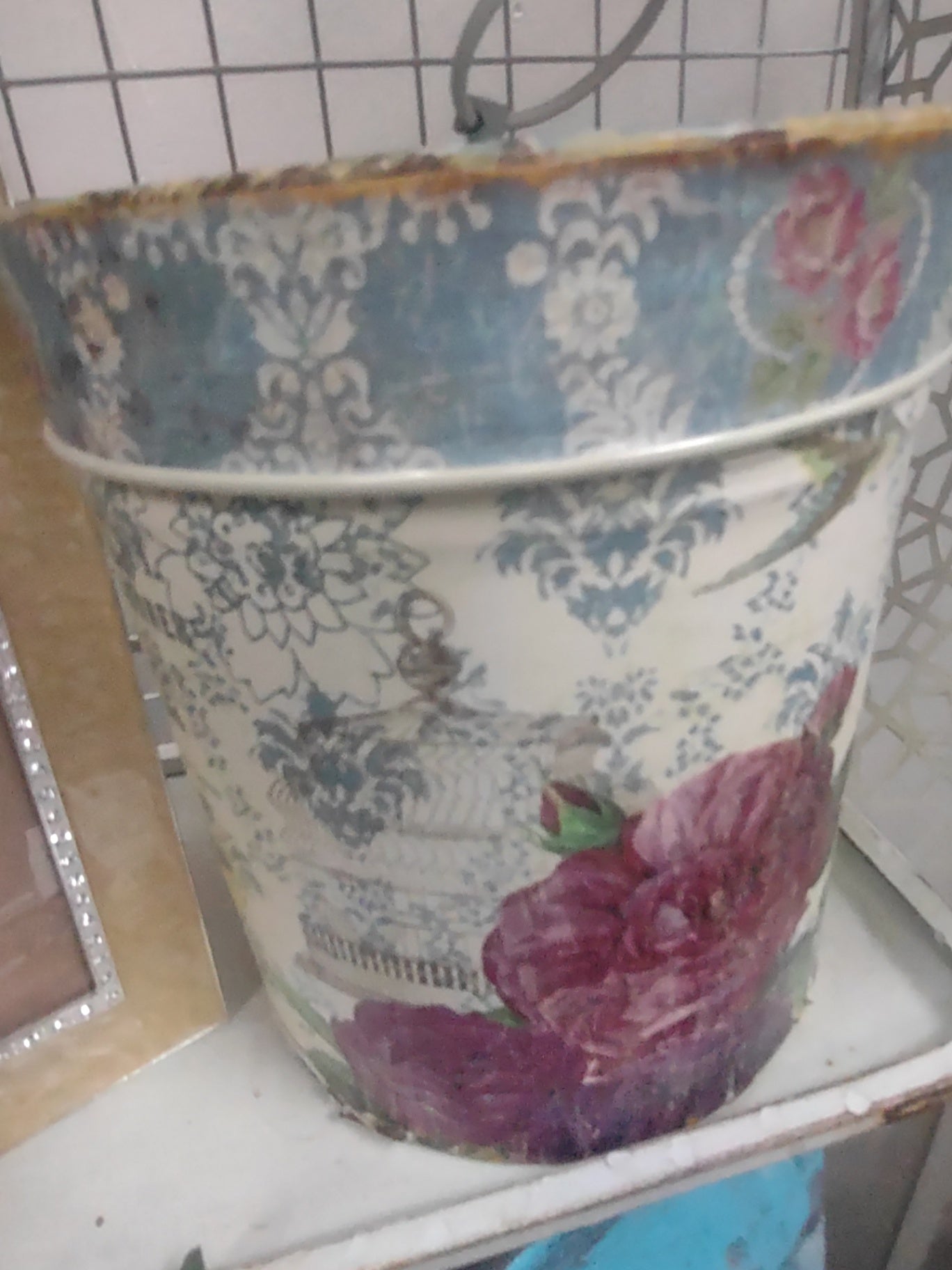 Sm tin Rose