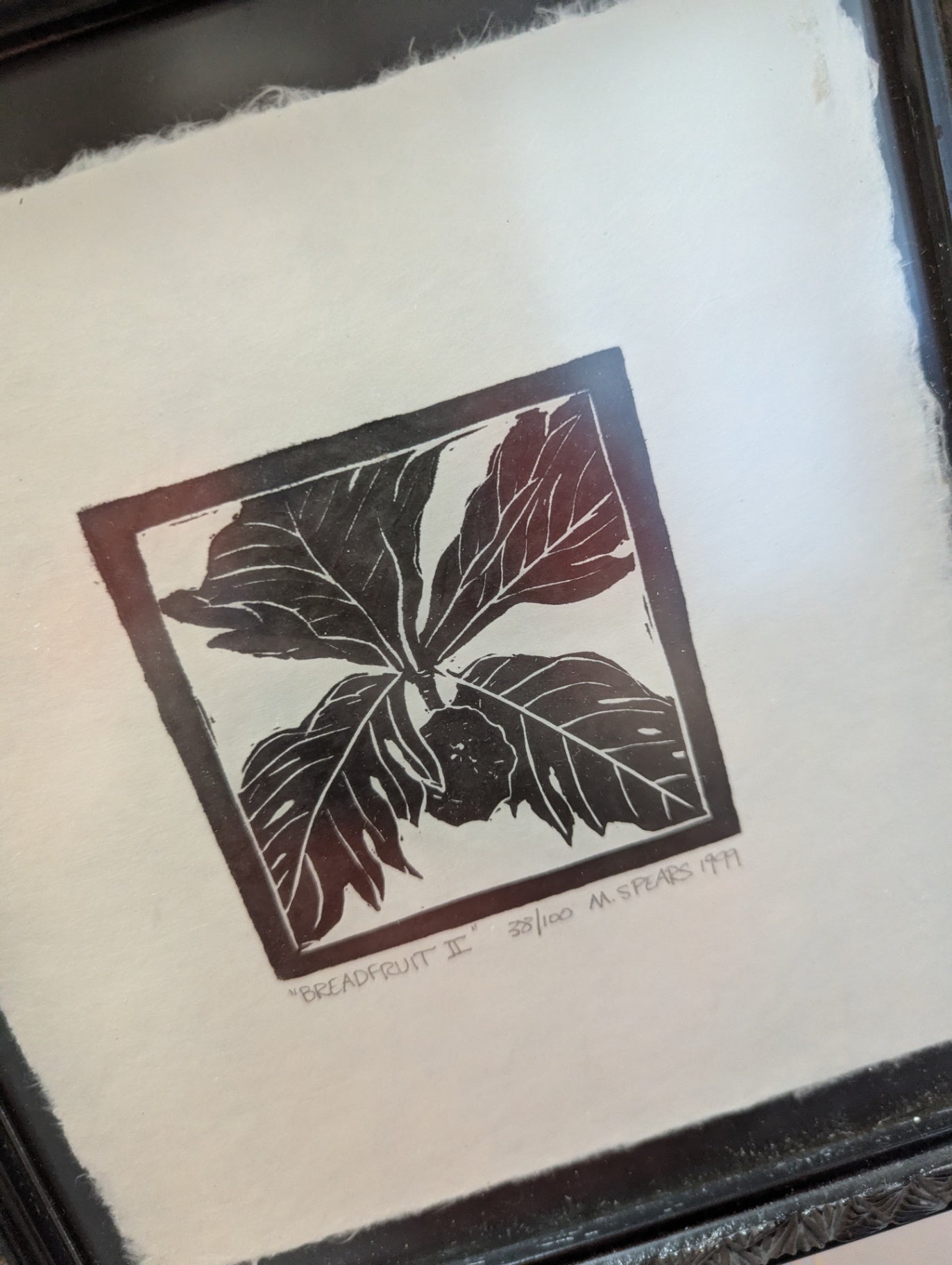 1999 M. Spears "Bread fruit" Print Framed