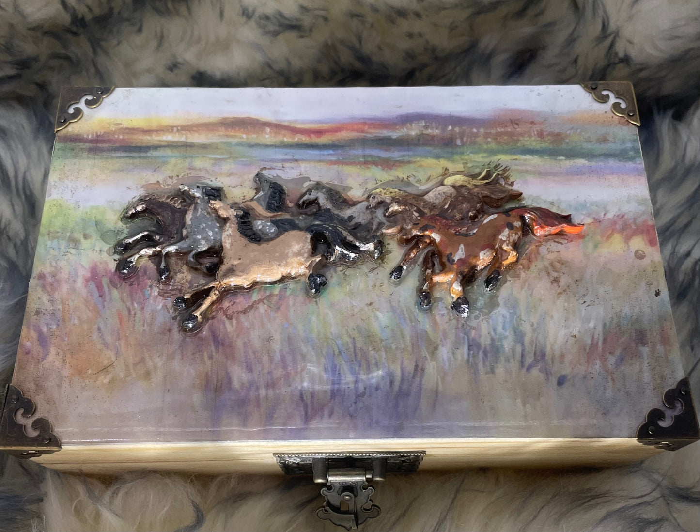Wild horses box