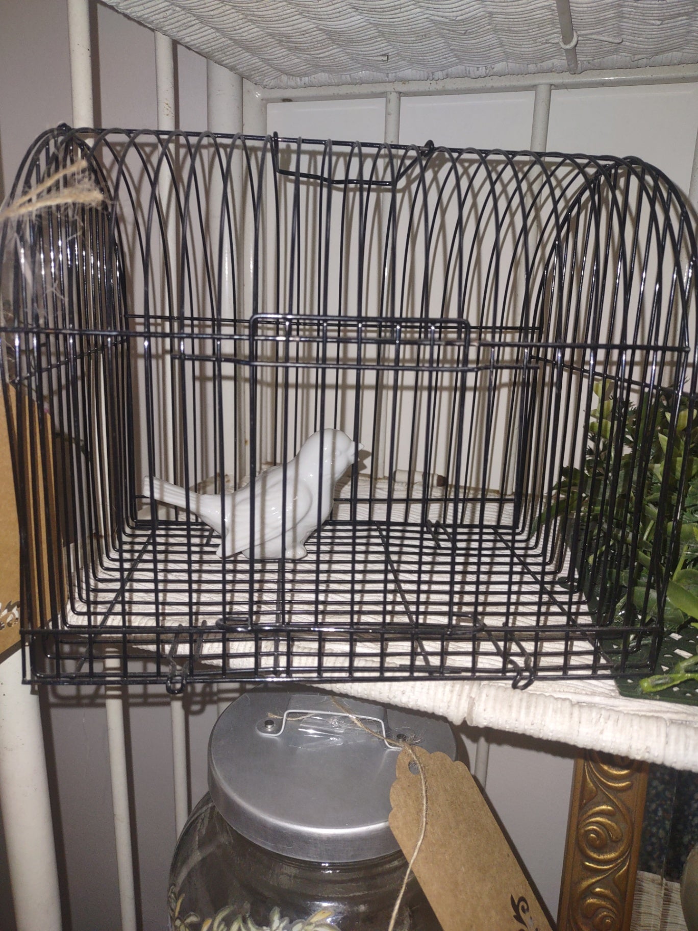 Bird cage