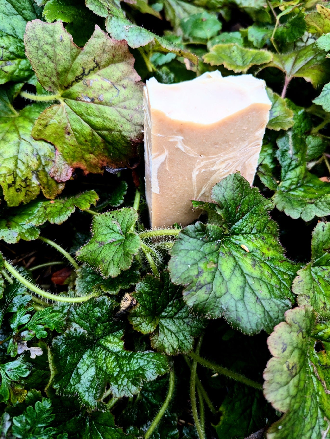 Spiced Butter Recycled Lard bar soap