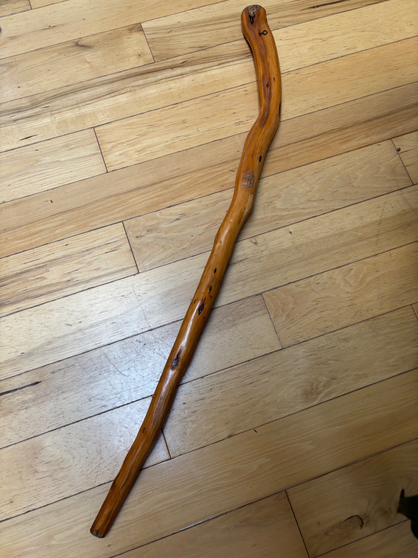 Natural branch walking stick