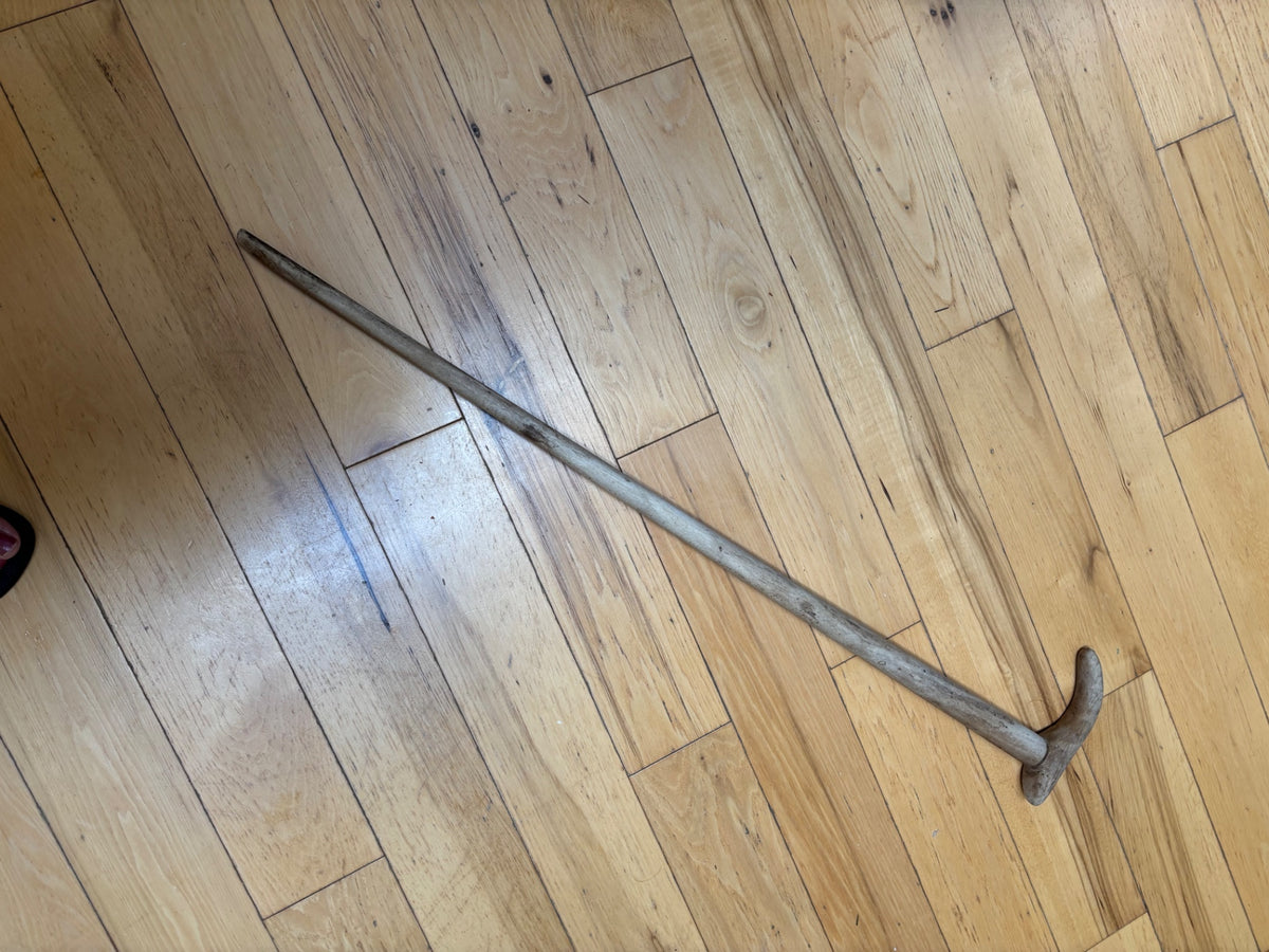 Vintage Walking Stick