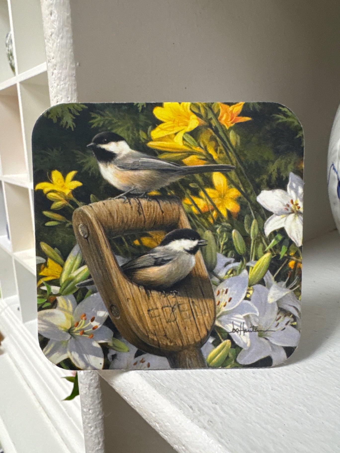 Bird coaster