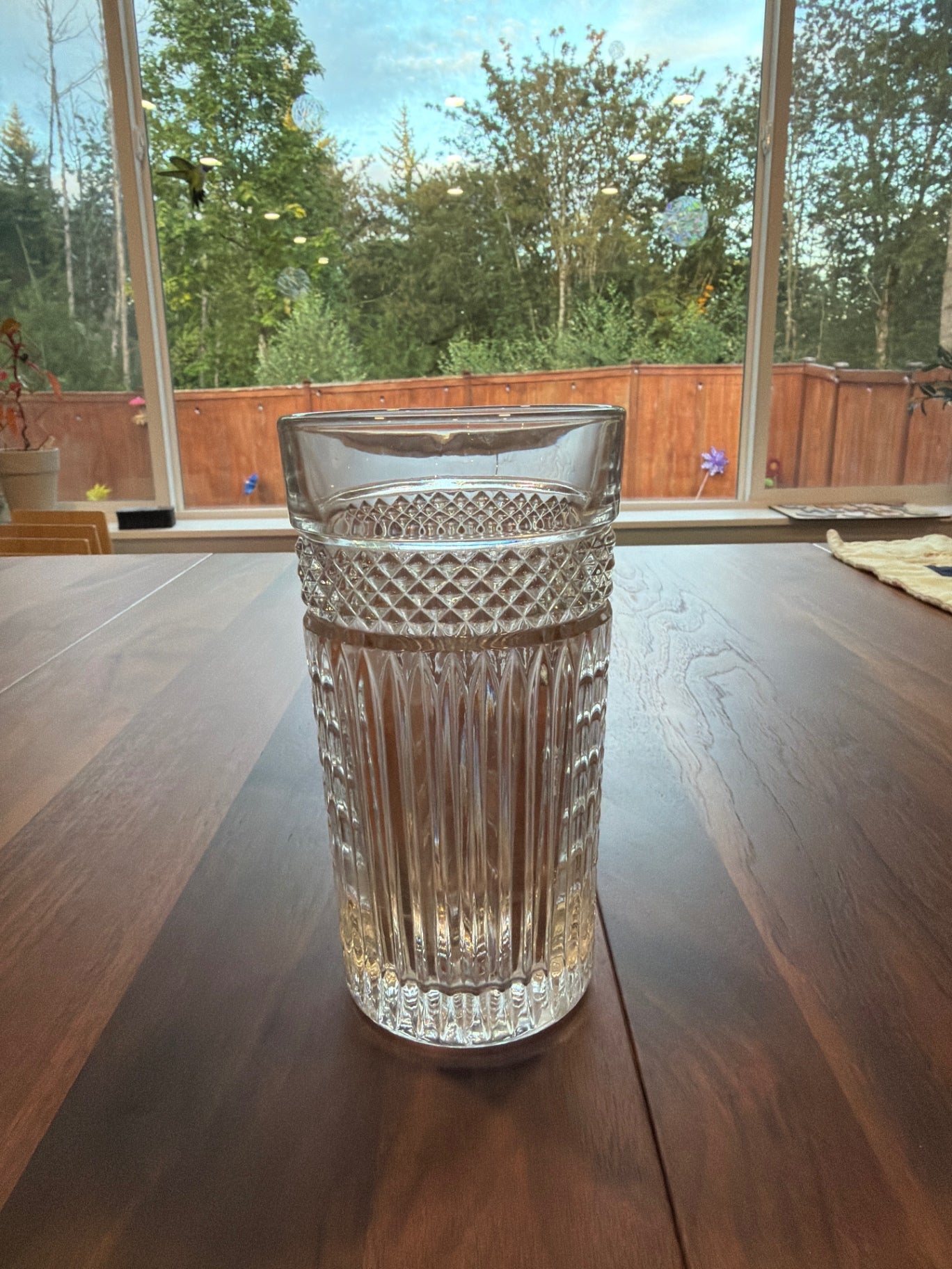 Vtg Libbey Radiant Water Glass
