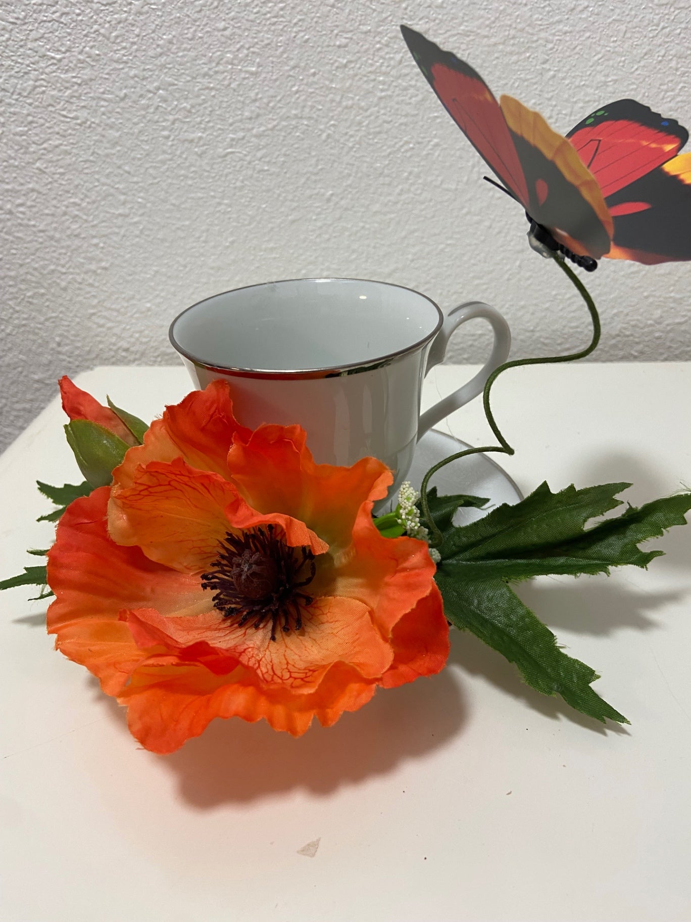 Teacup red Poppy 19