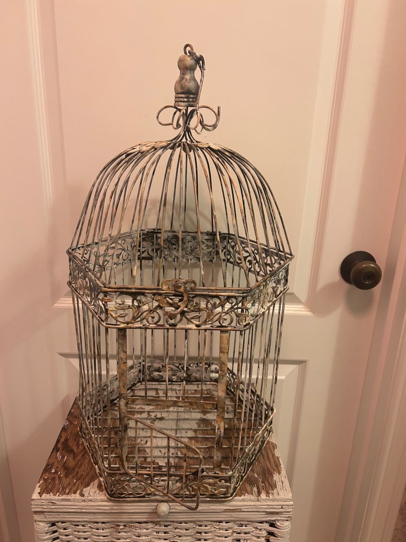 Metal birdcage