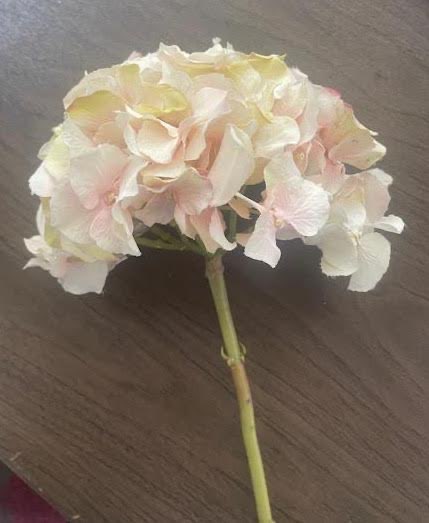 Silk Flower