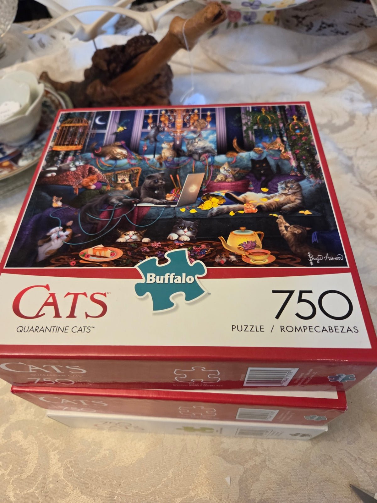 Quarantine cats
