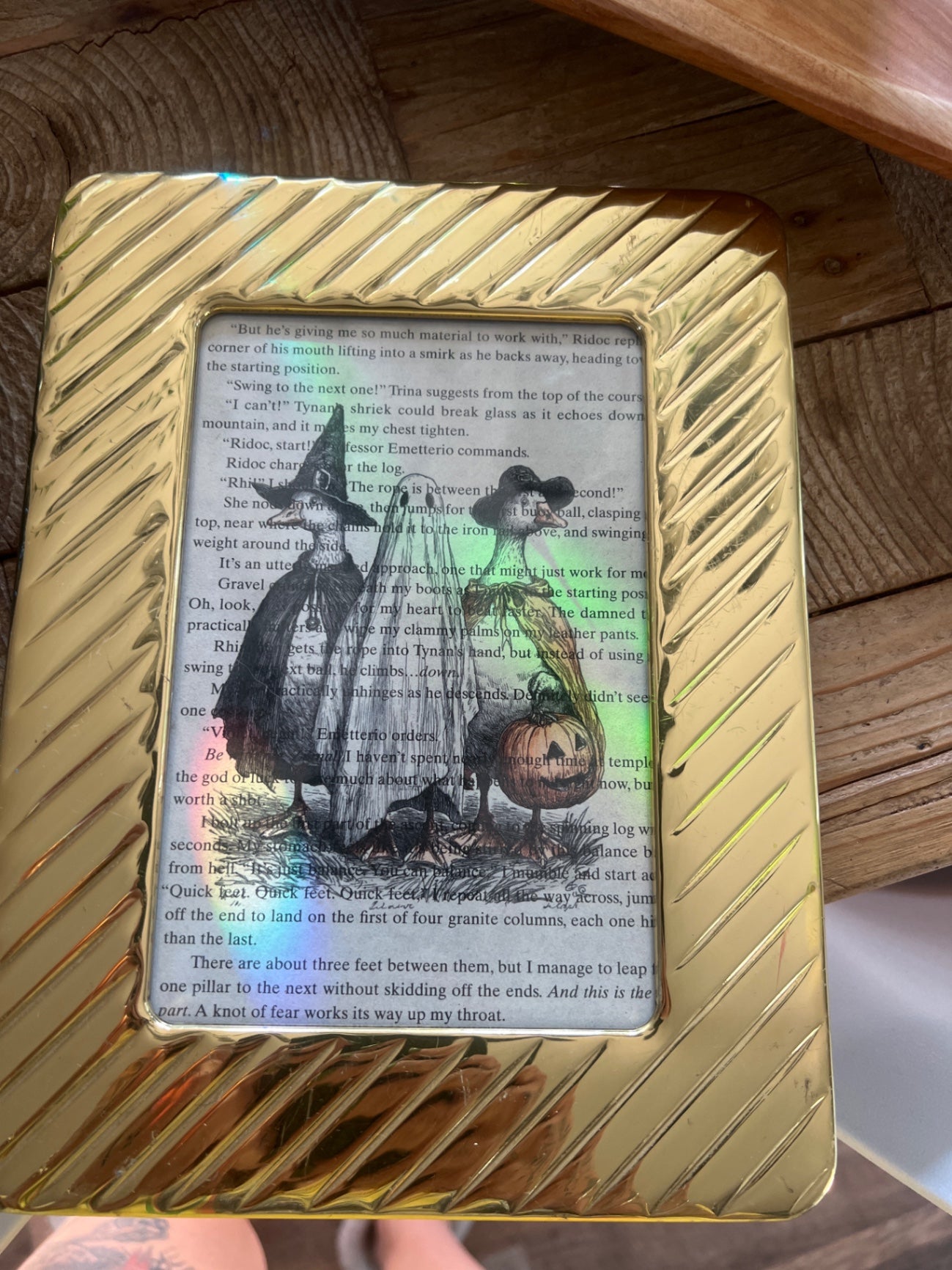 Gold frame and goose friends