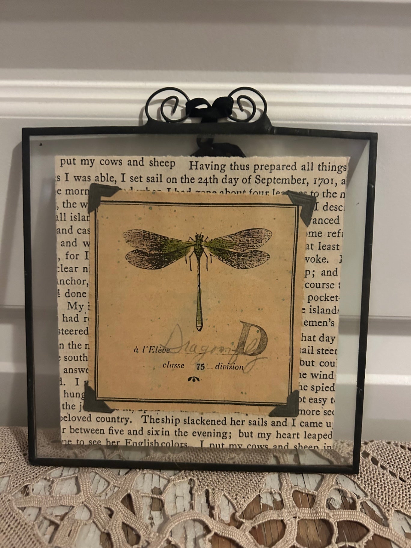 Dragonfly picture