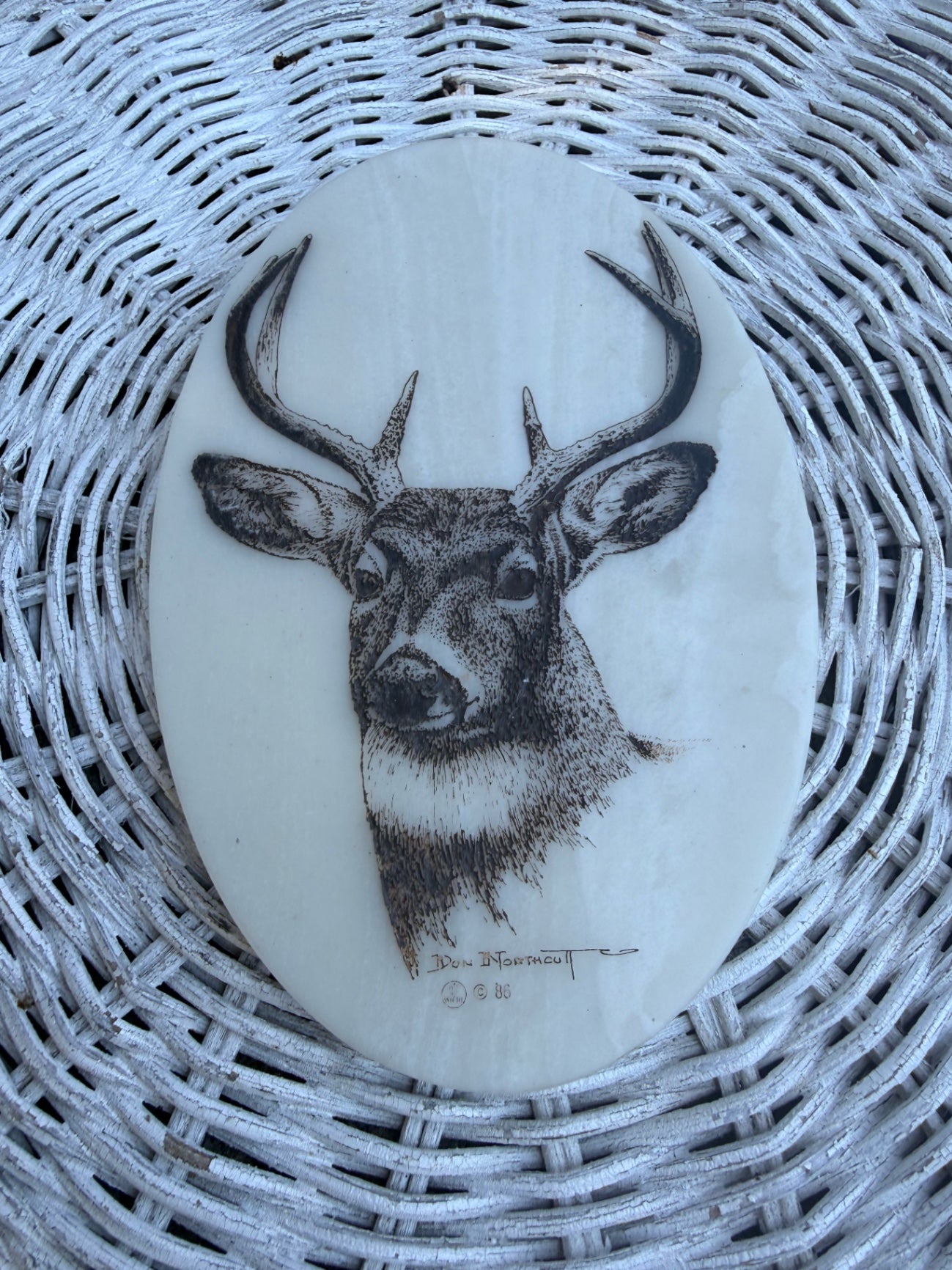 Vintage Don Northcutt Signed Deer Buck Scrimshaw Art | 1986 Oval Carved Plaque