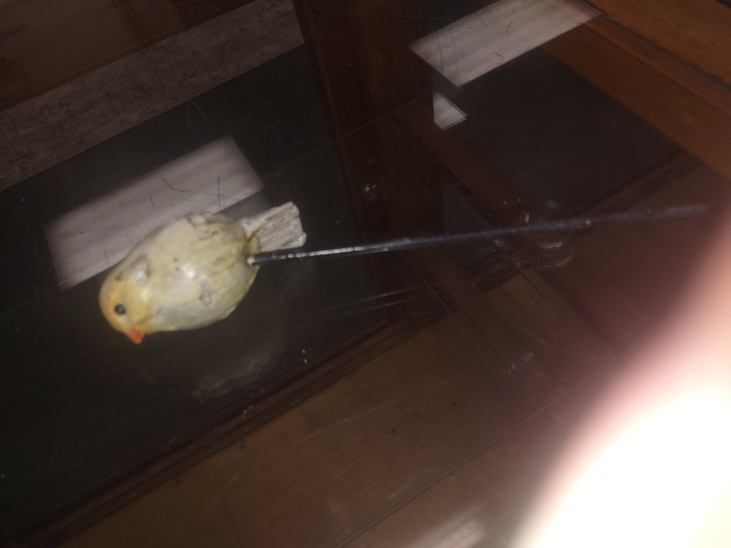 Bird yellow on rod