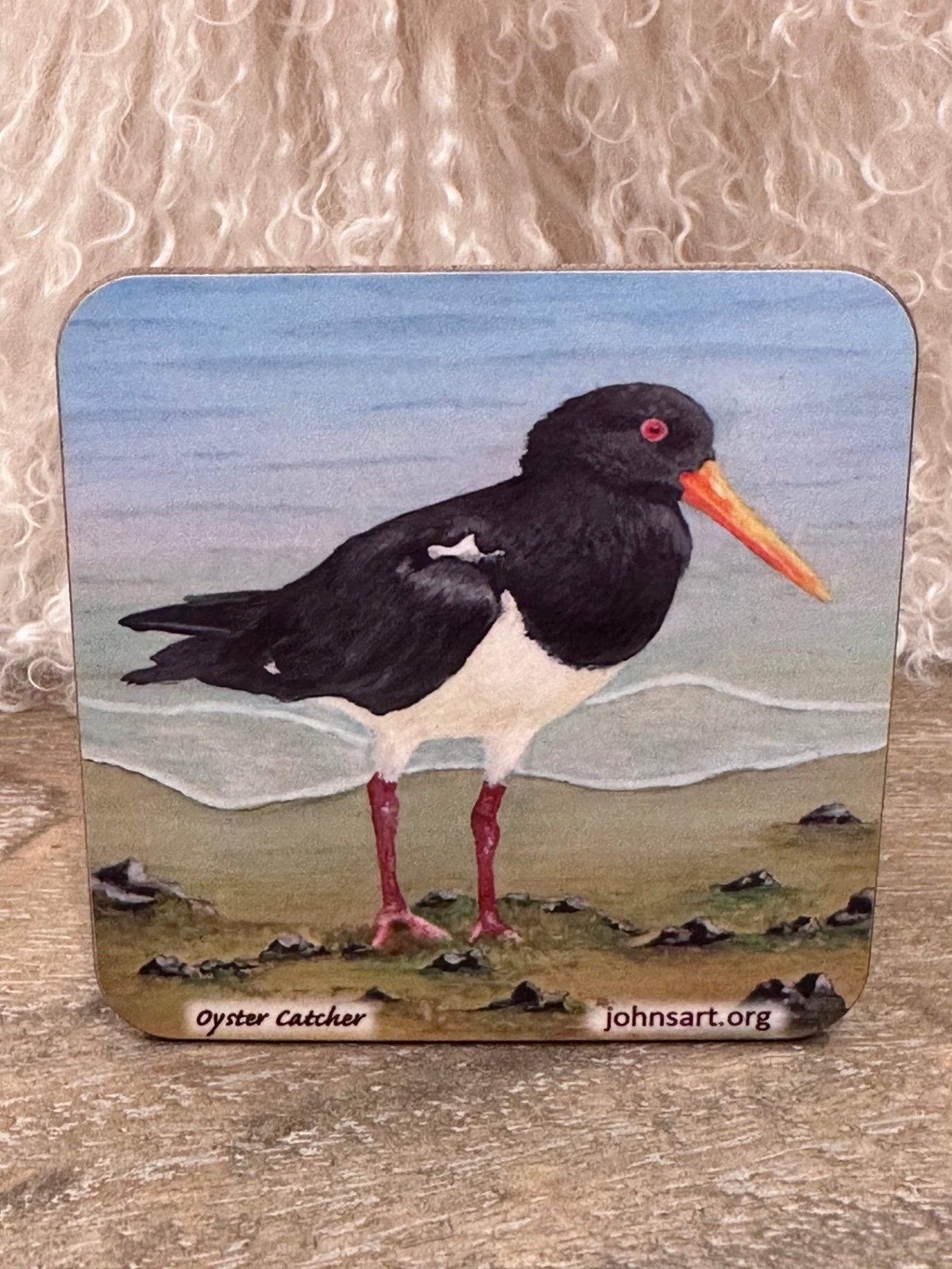 Oyster catcher coaster