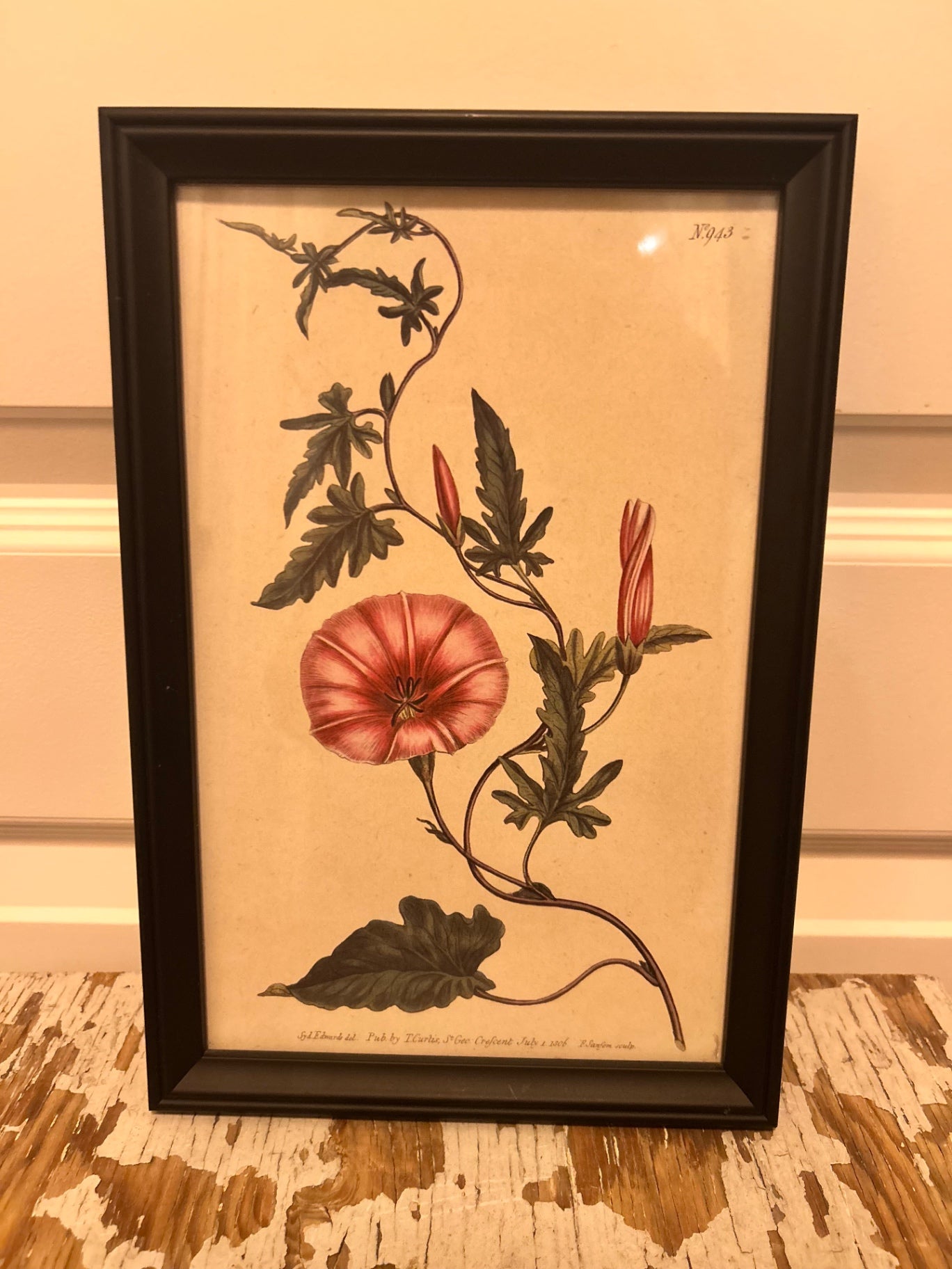 botanical print