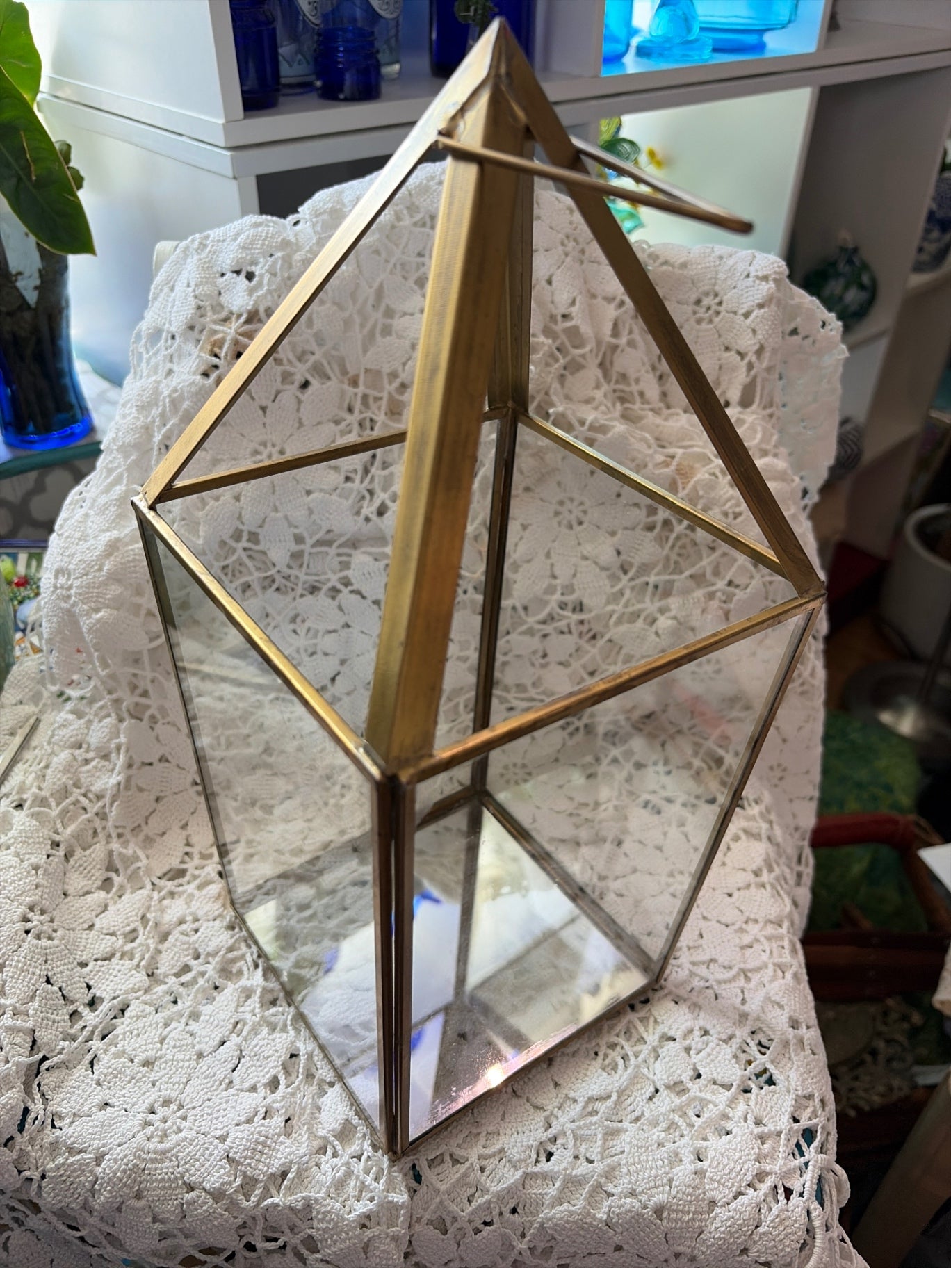 Brass/glass terrarium