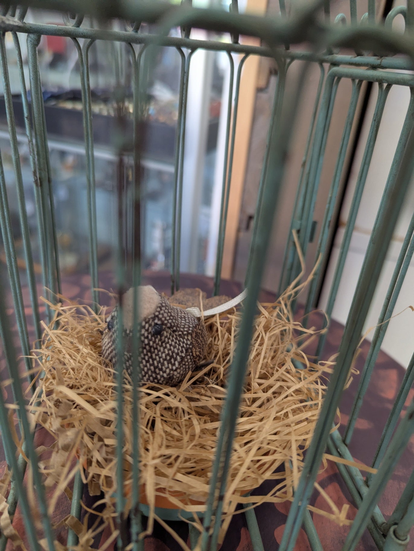 Sweet Metal Faux Bird Cage