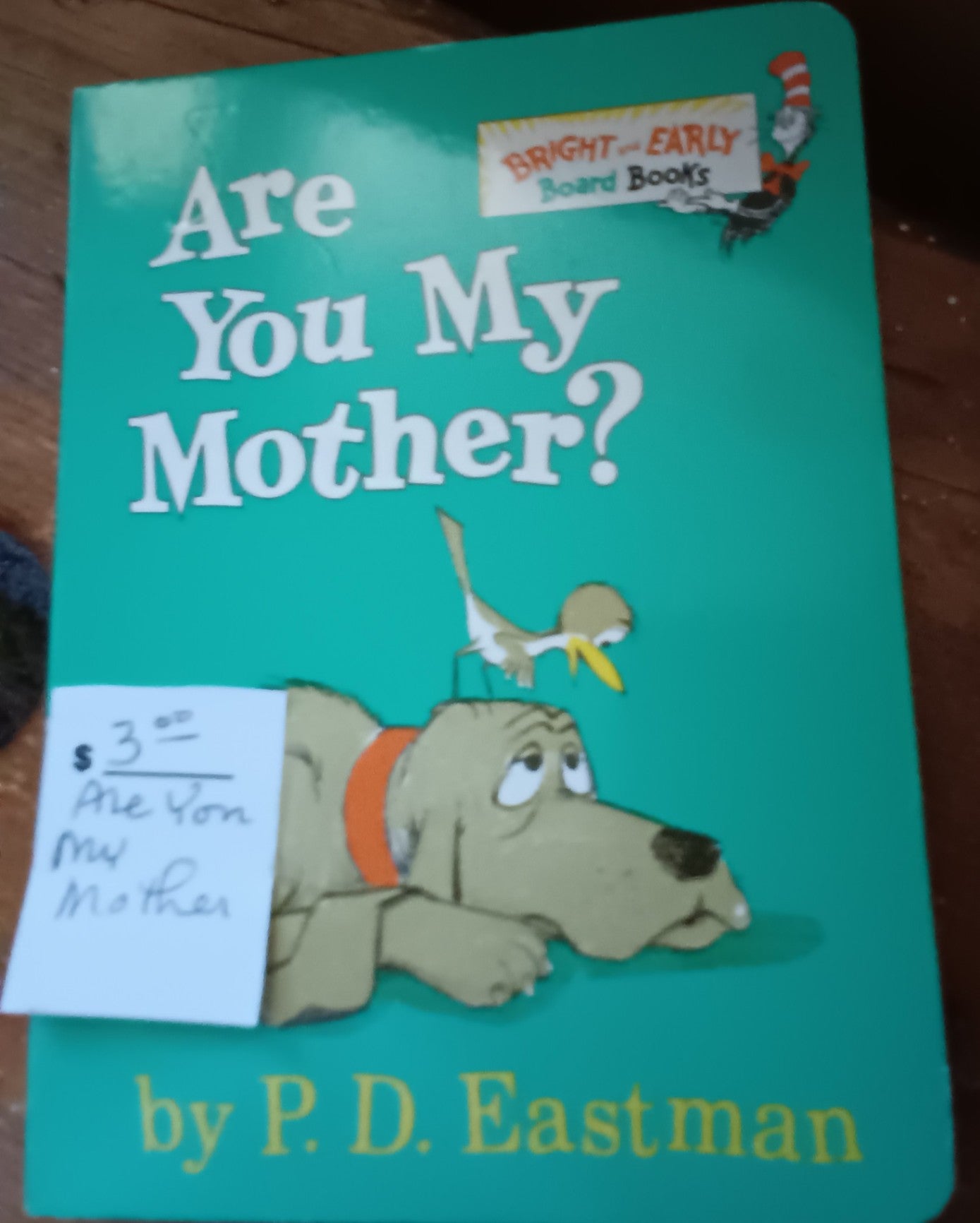 Children's Book