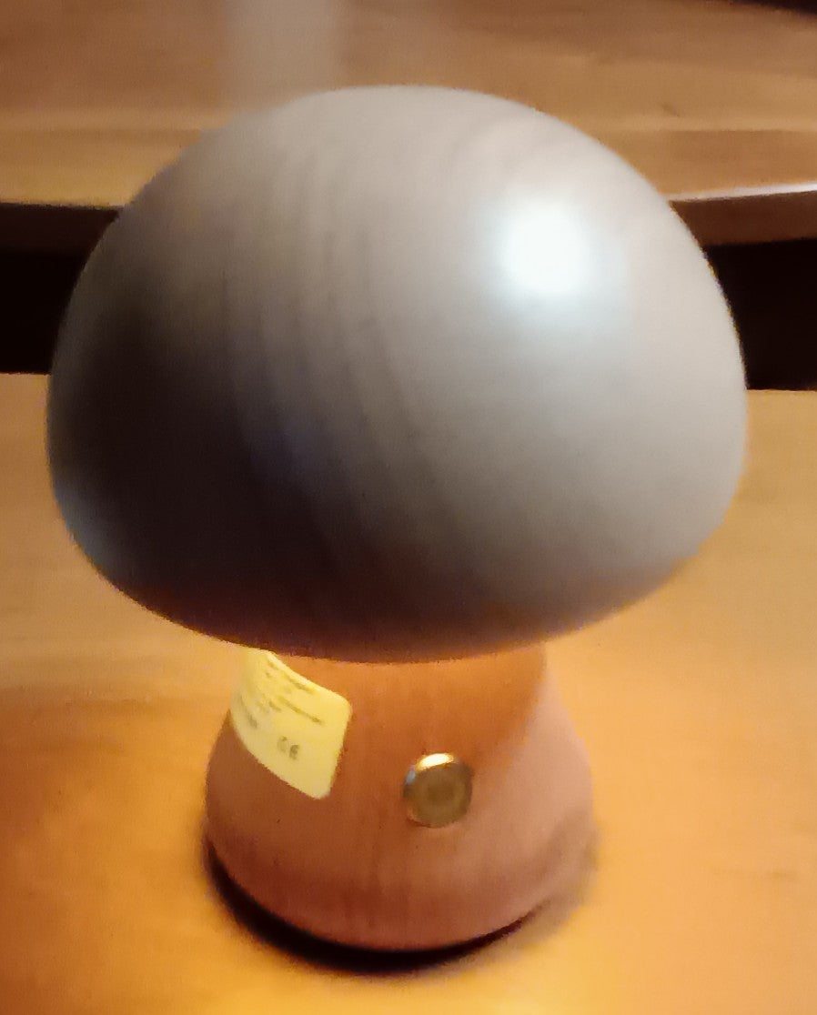 Wooden USB Mushroom Night Light