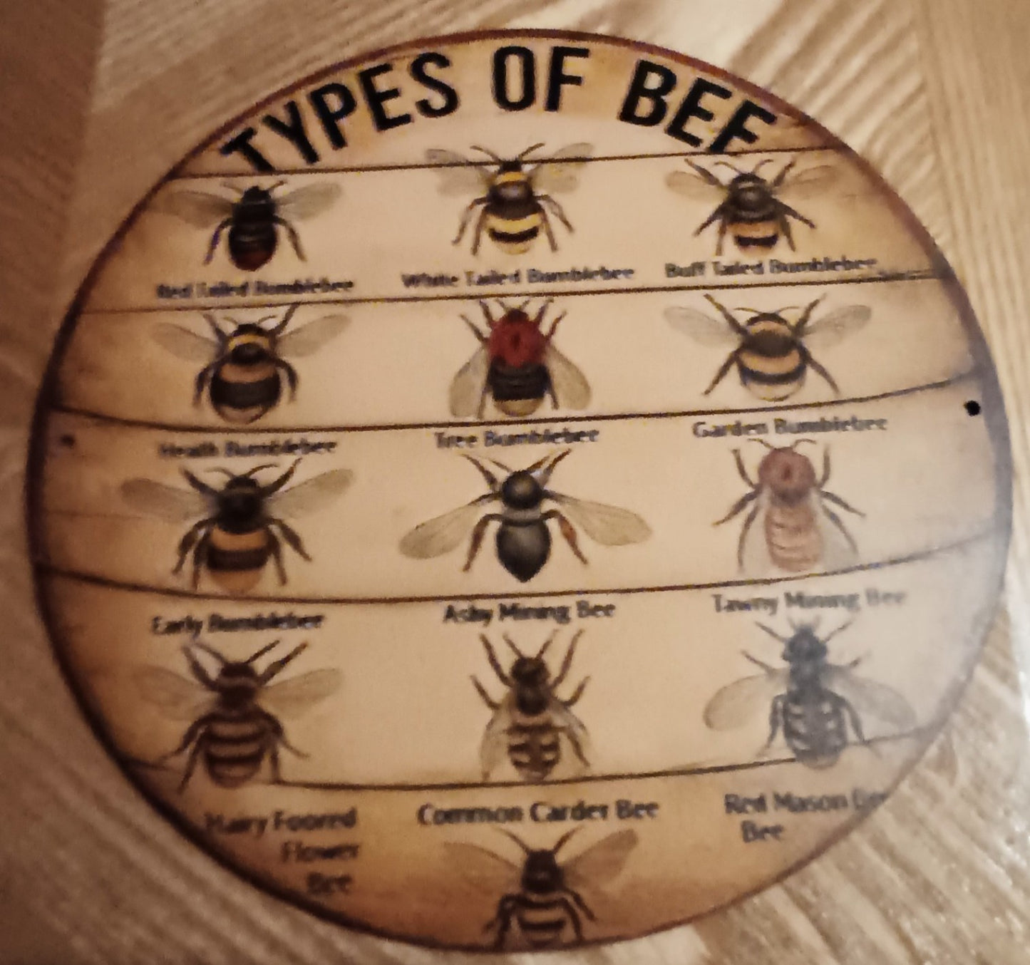 Wooden Vtg Style Bee Sign