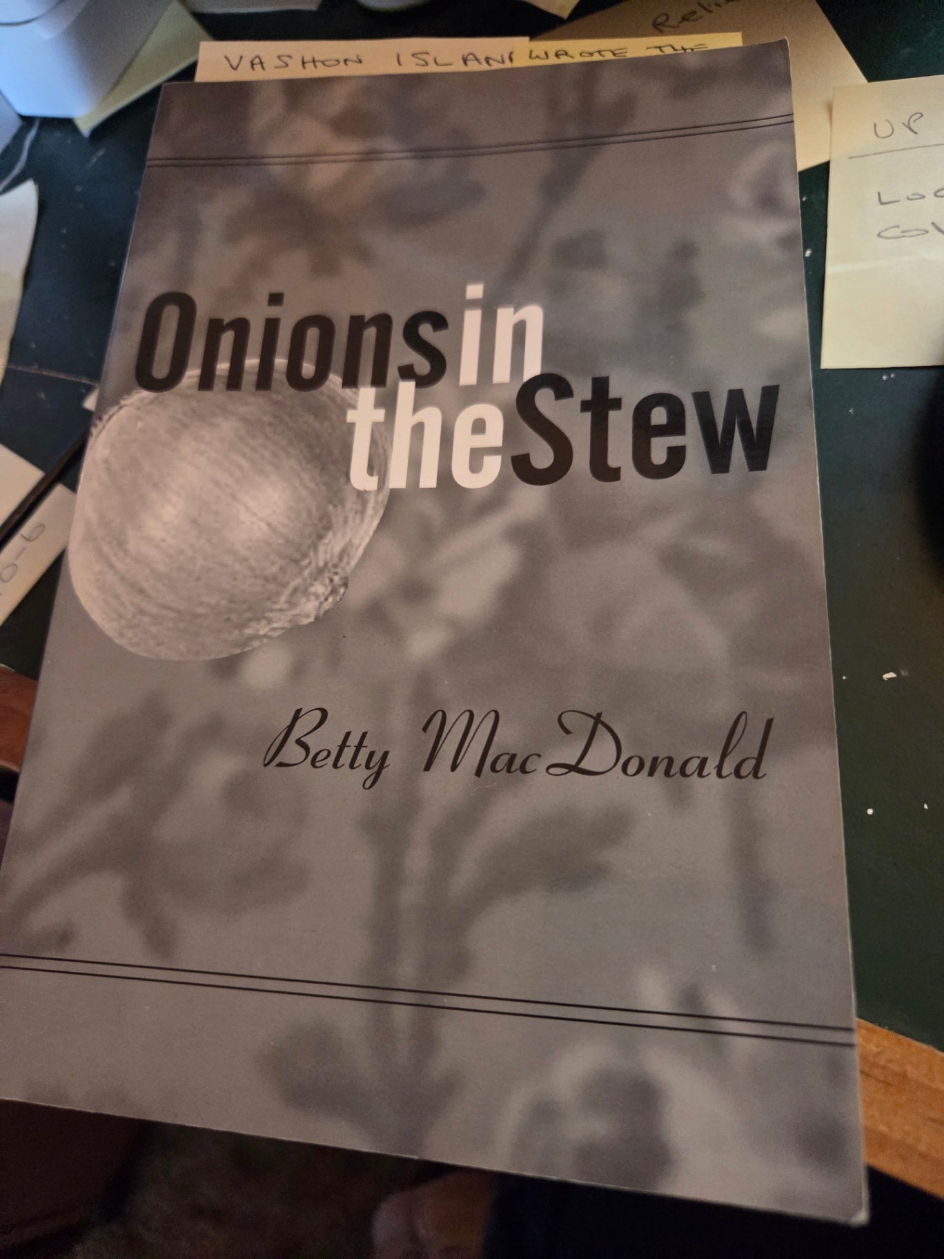 Onions in the stew