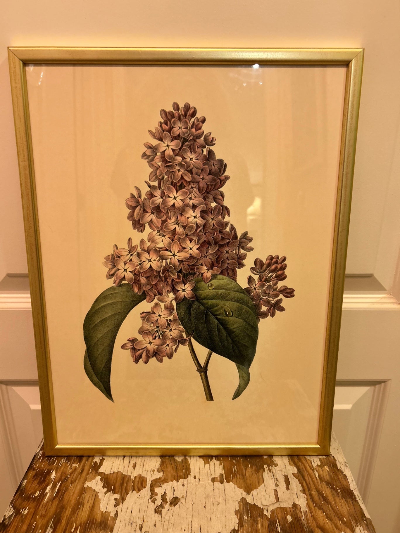 PURPLE BOTANICAL