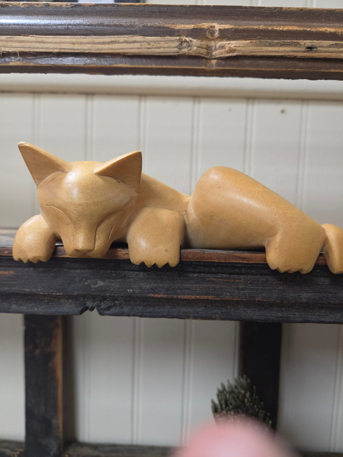 Cat Shelf Sitter