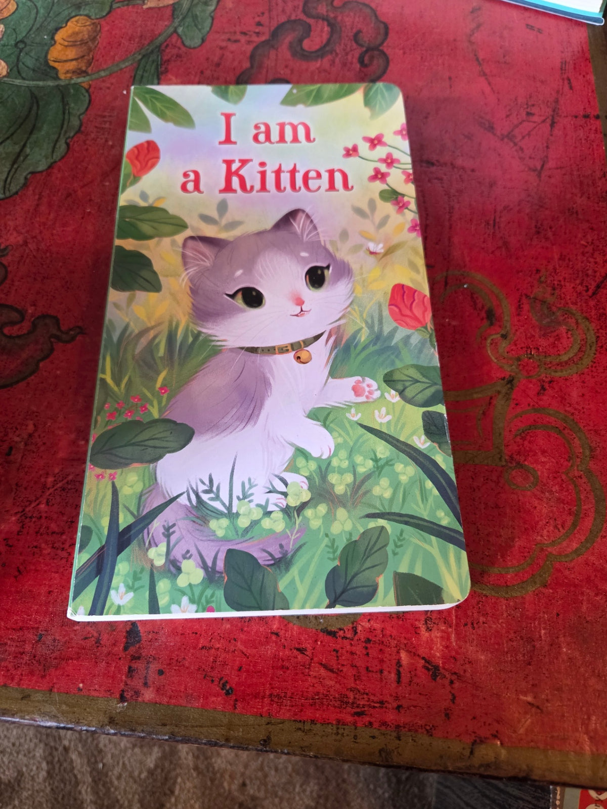 I am a kitten