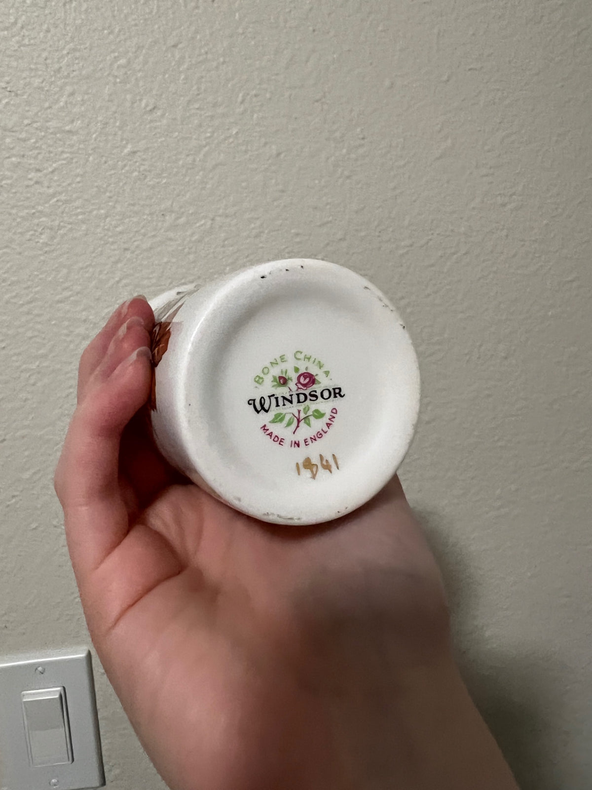Vintage Windsor Autumn Leaf Bone China Cup