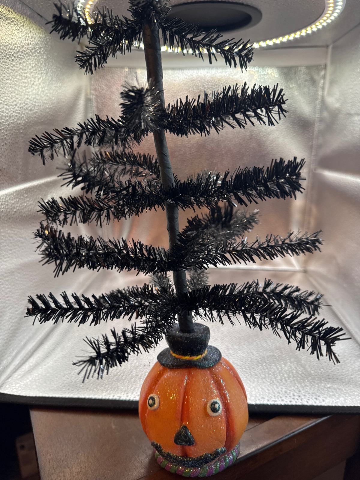Pumpkin Tree