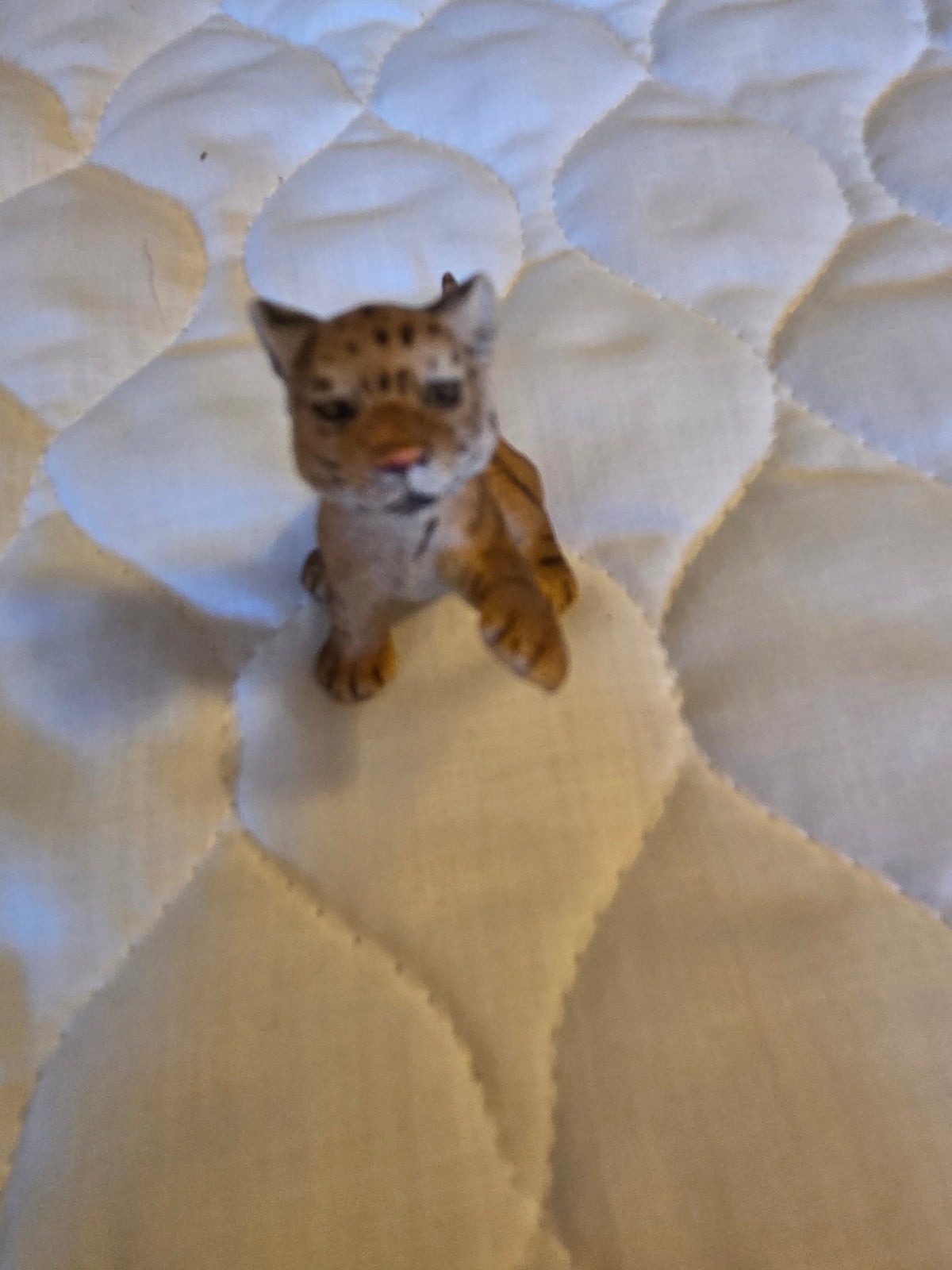 Schleicht tiger