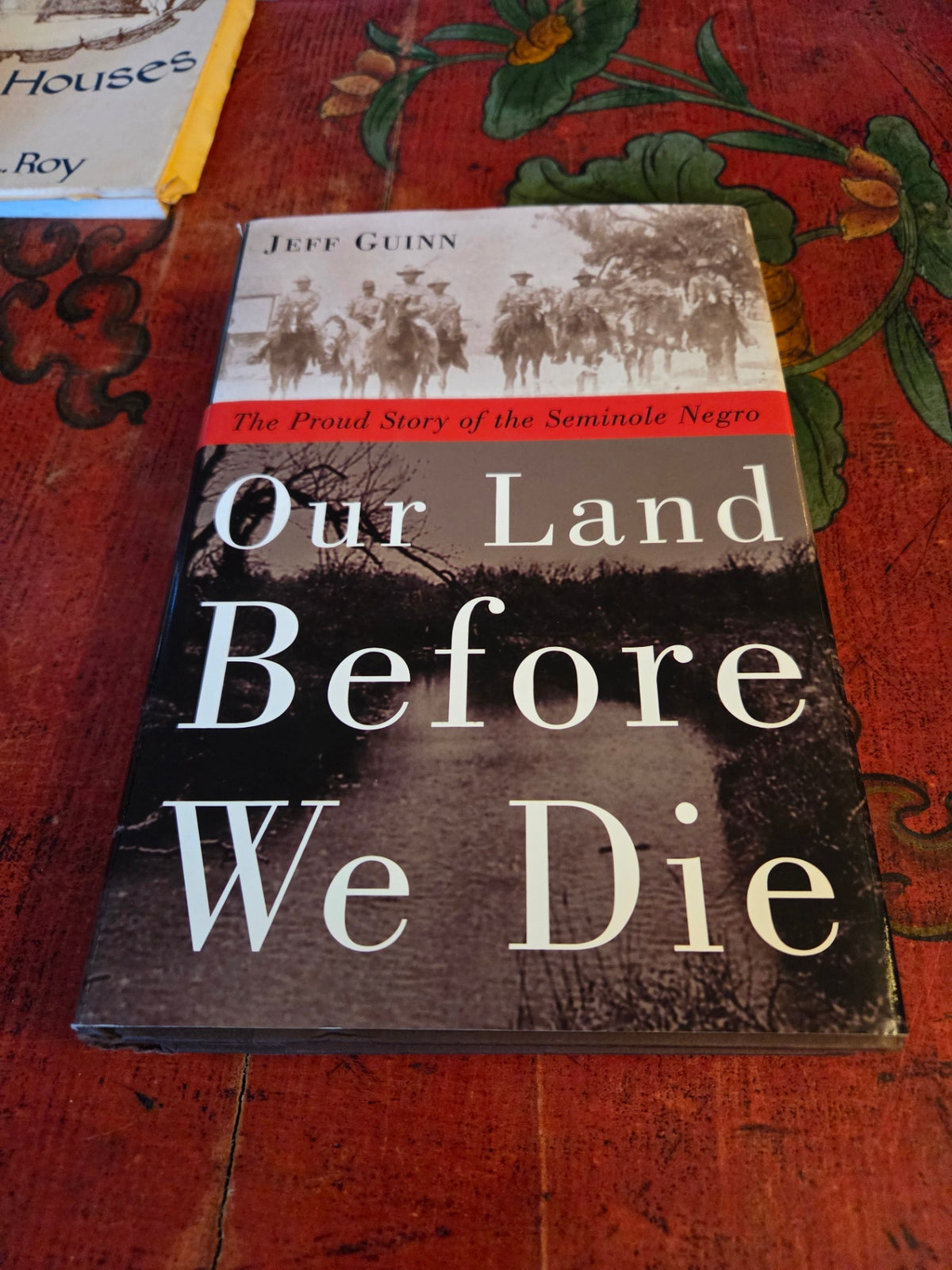 Our land before we die