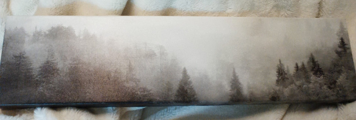 Stretched Canvas Evergreens in Fog Landscape 21" x6"