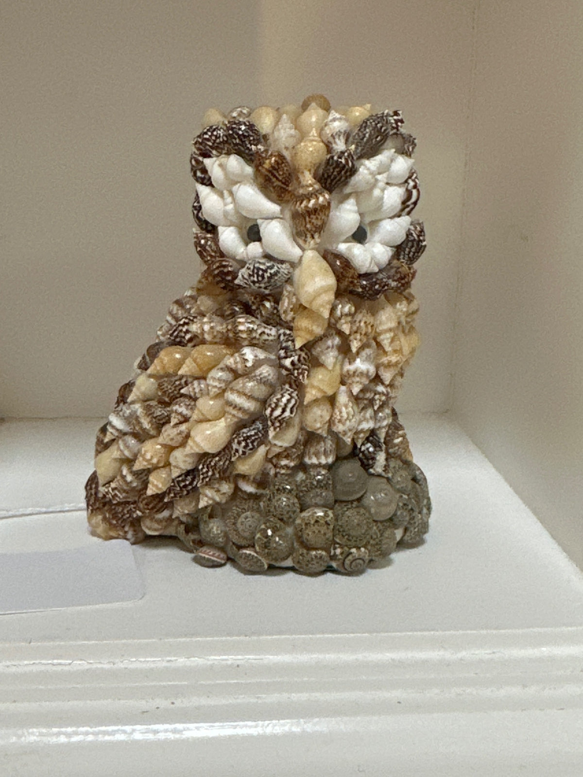 Seashell owl