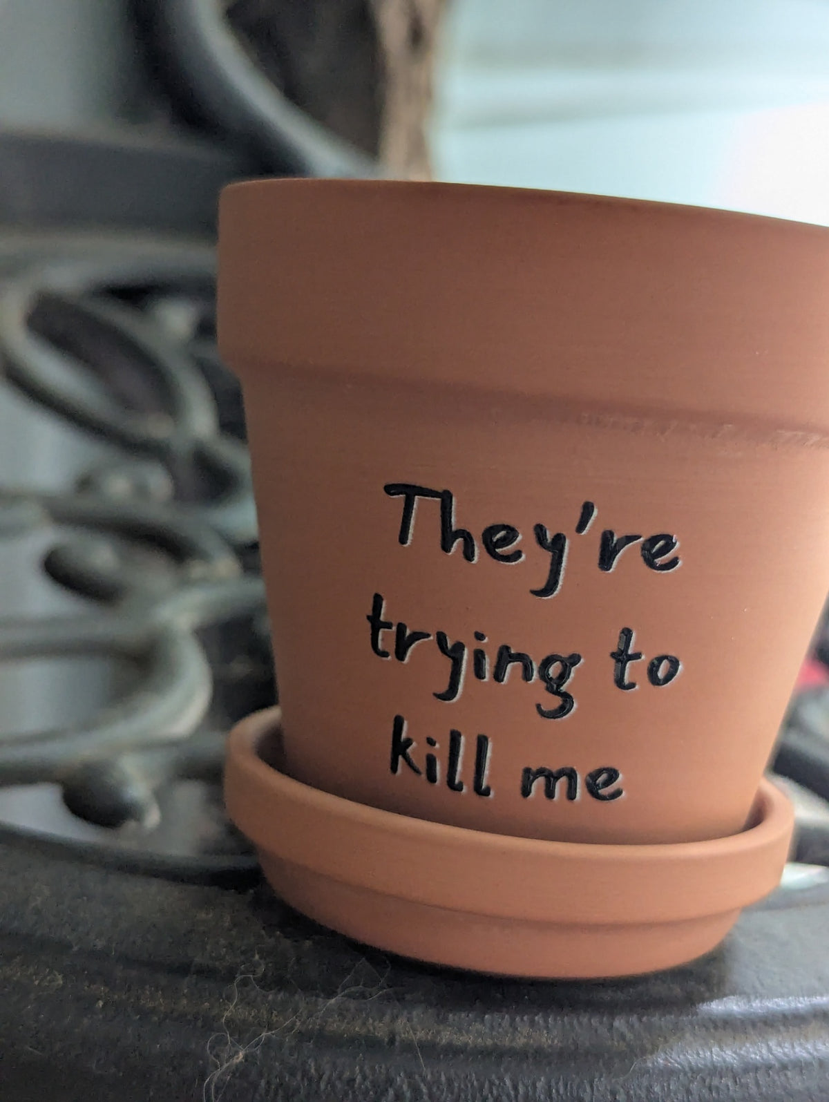 3" They're trying to kill me Planter