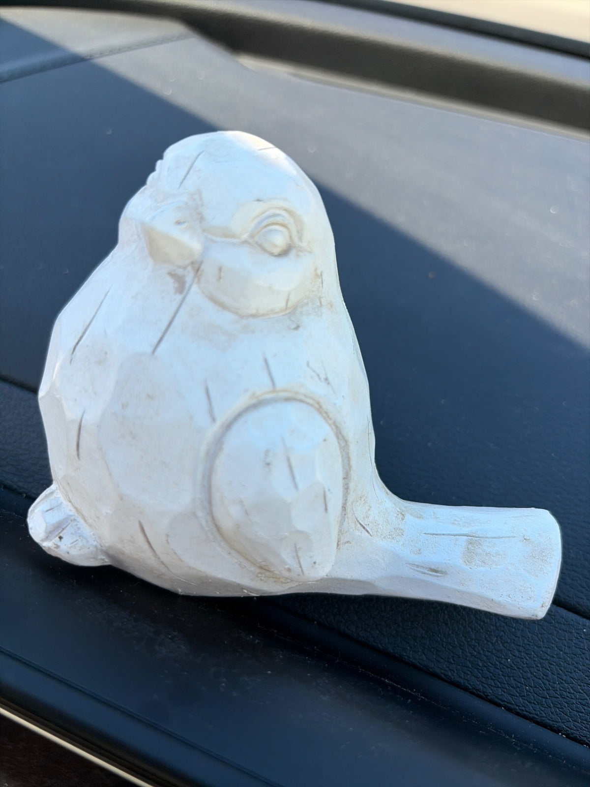 White chubby bird