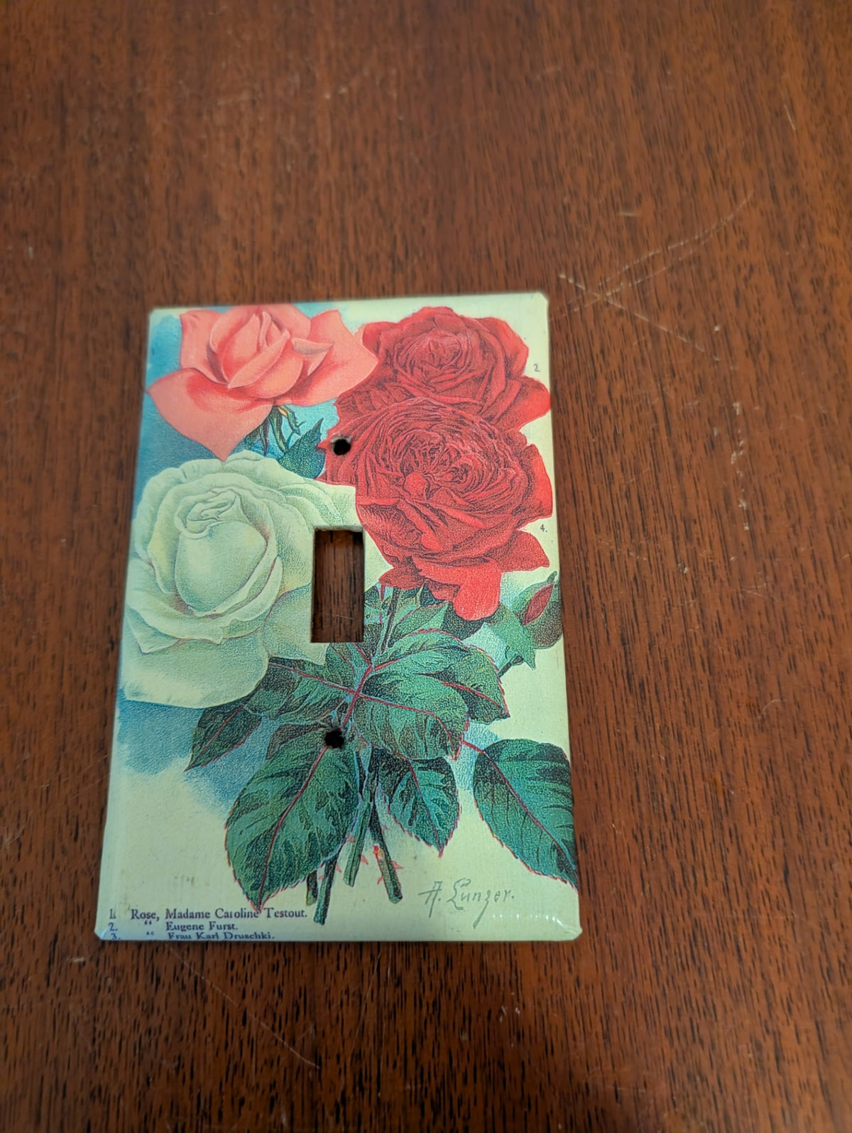 Light Switch Cover