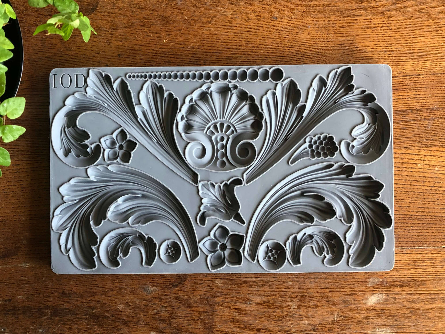 IOD Molding Materials Acanthus IOD Mould
