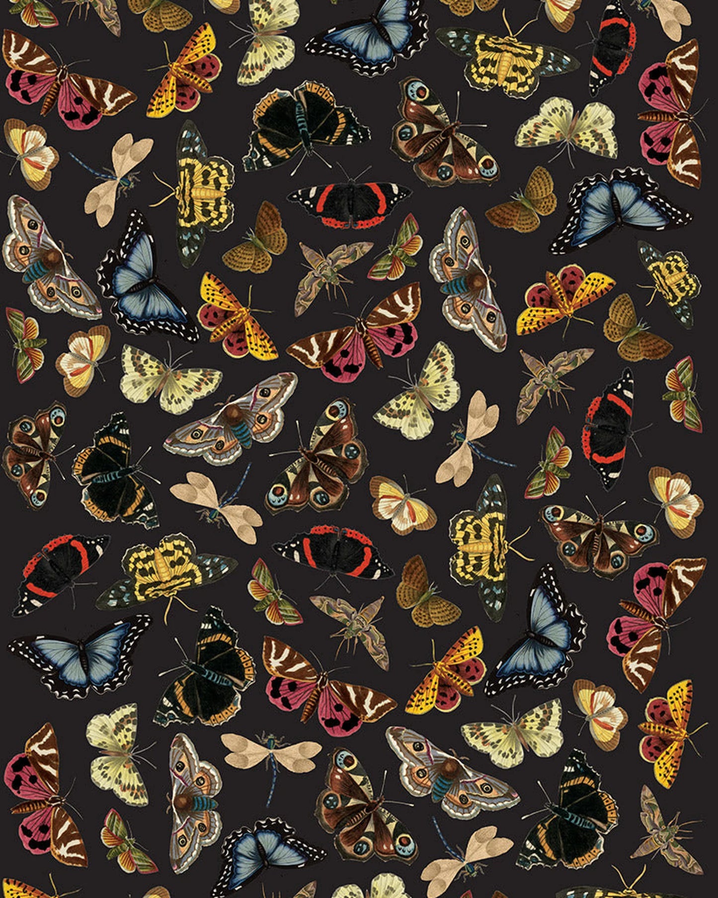 Annie Sloan Decoupage Papers - Winged Wildlife