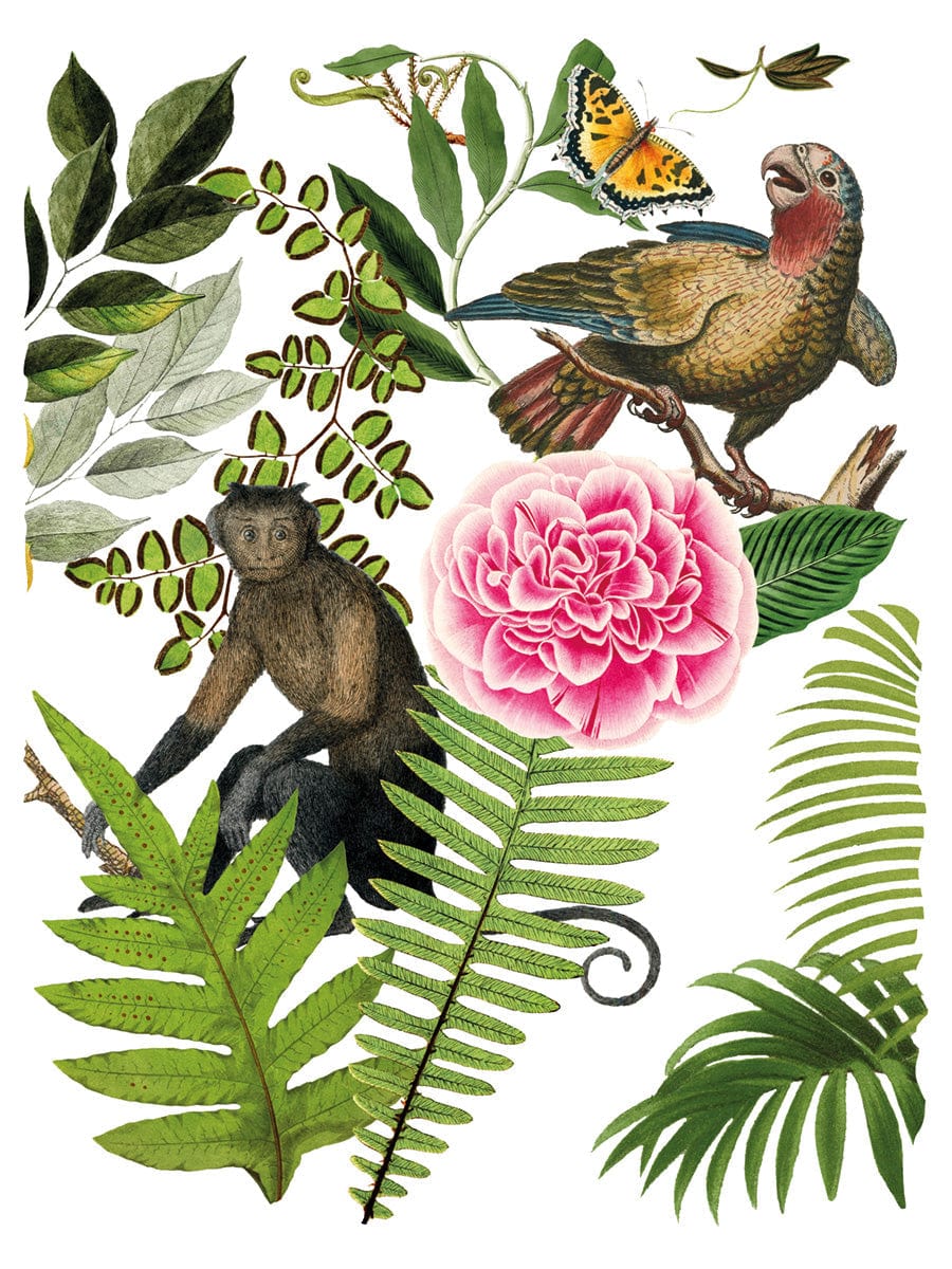 Bungalow IOD Transfer 12x16 Pad (8 sheets)