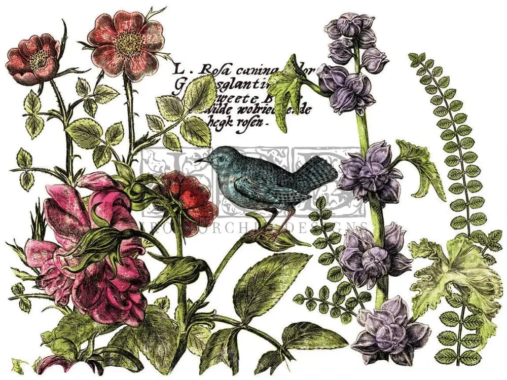 Botanist's Journal IOD Transfer 12x16 (4 Sheets)