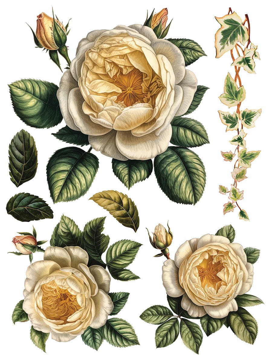 Collage de Fleurs IOD Transfer 12x16 Pad (8 sheets)
